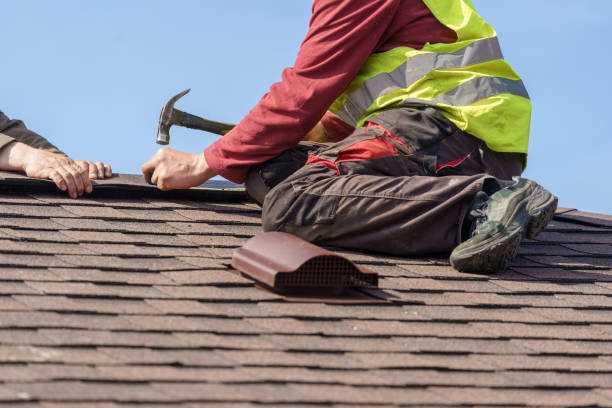 Best Roof Repair Services  in Ludington, MI