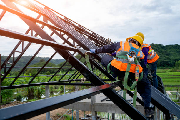 Best Shingle Roofing Installation  in Ludington, MI