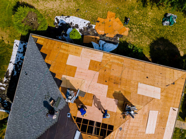 Best Roof Restoration Services  in Ludington, MI