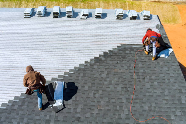 Best Roof Maintenance Services  in Ludington, MI