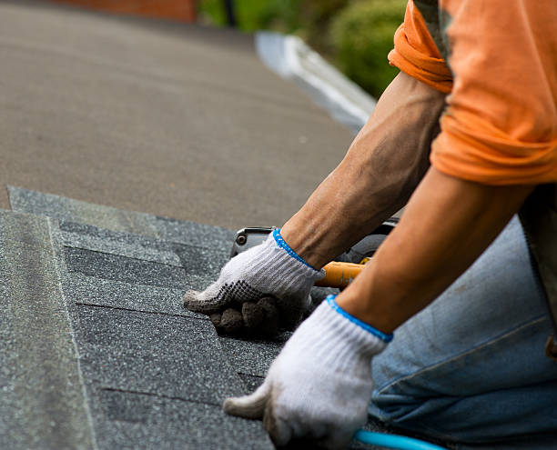 Best Local Roofing Companies  in Ludington, MI