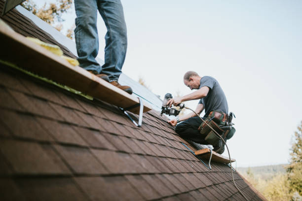 Best Commercial Roofing Services  in Ludington, MI