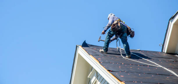 Best Residential Roofing Contractor  in Ludington, MI